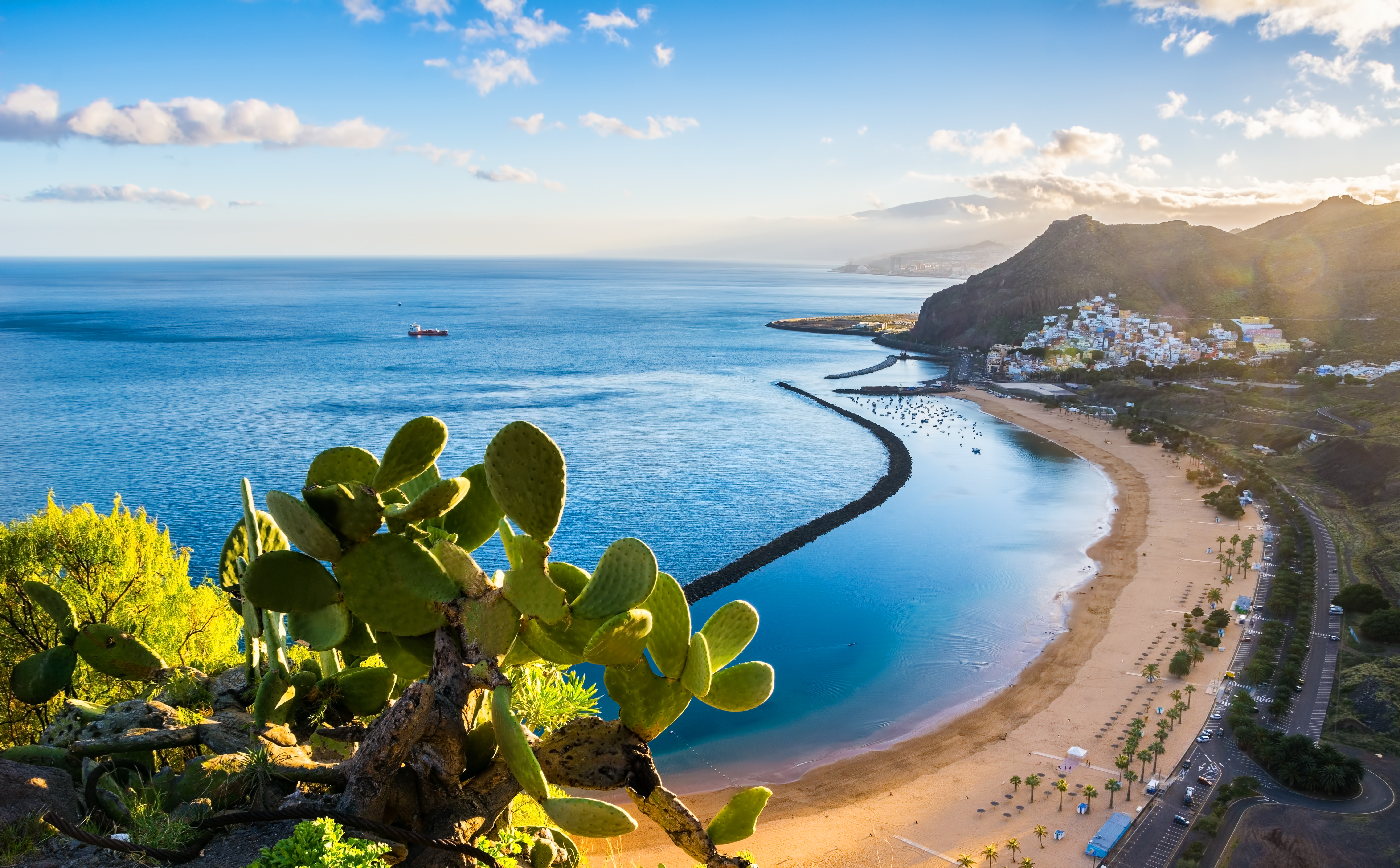 Canary Island Beach.