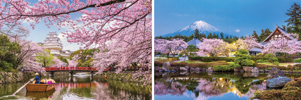 Japan in cherry blossom season