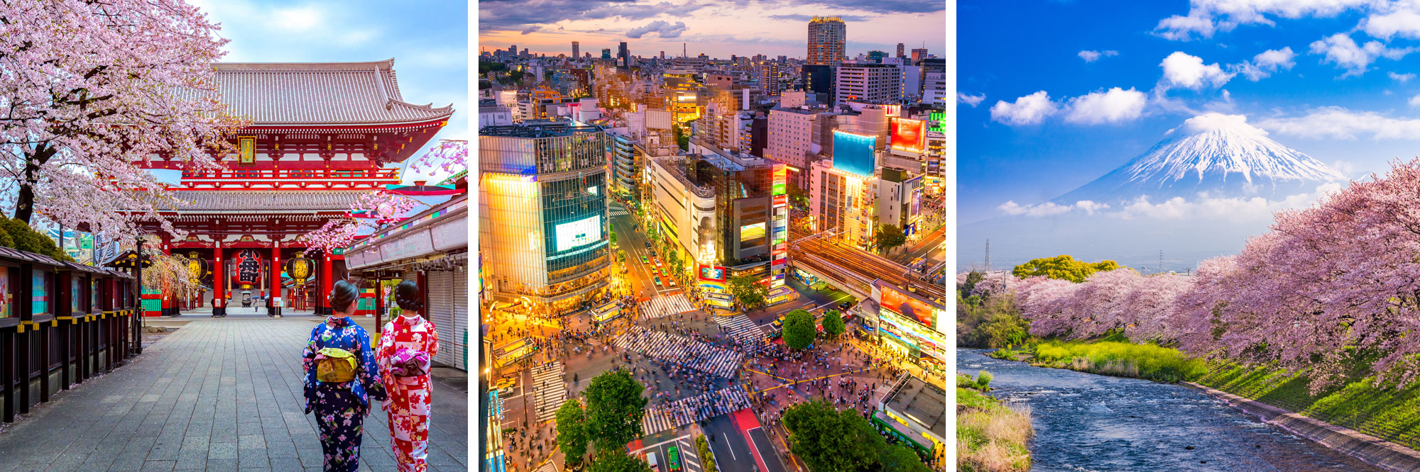 The 2023 6★ AllInclusive Wonders of Japan ROL Cruise