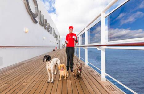 Which cruise lines are dog friendly?| ROL Cruise Blog