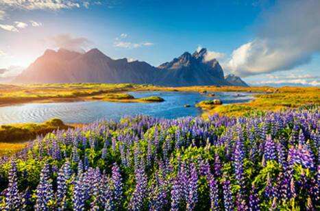 Films that’ll inspire your next cruise | ROL Cruise Blog