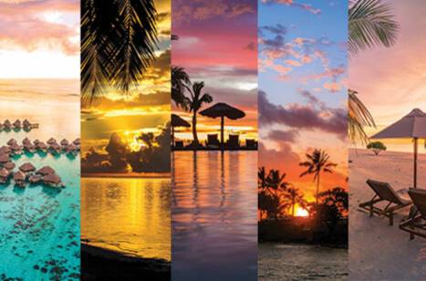 South Pacific Cruises