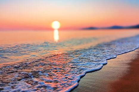 Celebrating International Day of Charity | ROL Cruise