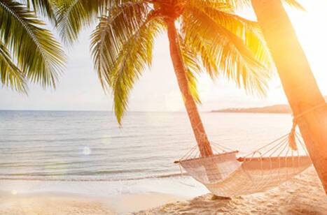 The benefits of pre-registering for your cruise | ROL Cruise Blog