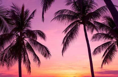 Foods to try on your Florida cruise | ROL Cruise Blog