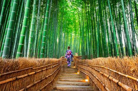 5 of the most unusual places you can cruise to | ROL Cruise Blog