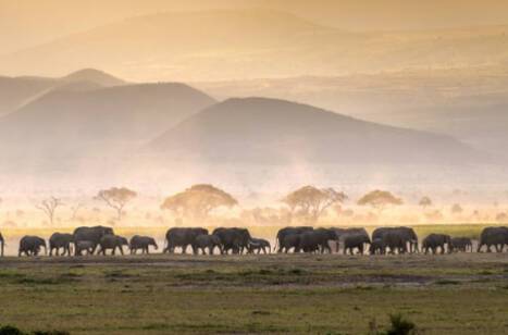 A guide to cruise ship shore excursions | ROL Cruise Blog