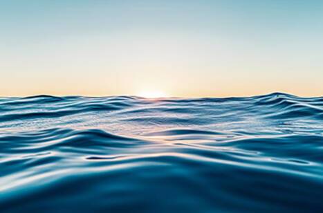 Women at the Helm of ROL Cruise | ROL Cruise Blog