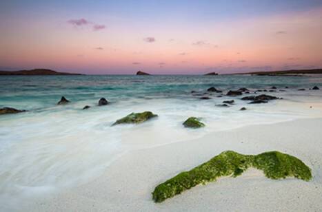 The view of Gardner Bay in the Galapagos Islands