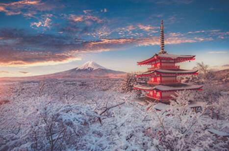 The best time to cruise to Japan | ROL Cruise Blog