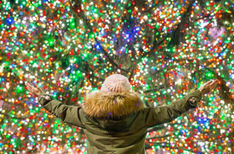 Christmas trees around the world | ROL Cruise Blog