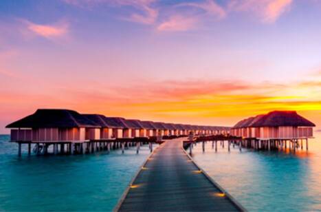 Solo cruises for the over 50s | ROL Cruise Blog