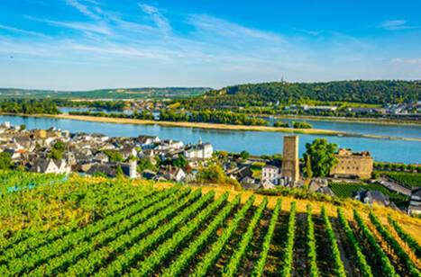 Travelmarvel Polaris, APT Cruising