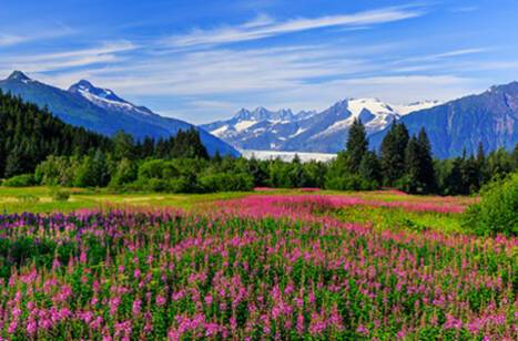 The best restaurants near Juneau | ROL Cruise Blog