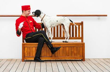 A man and dog sitting on a bench