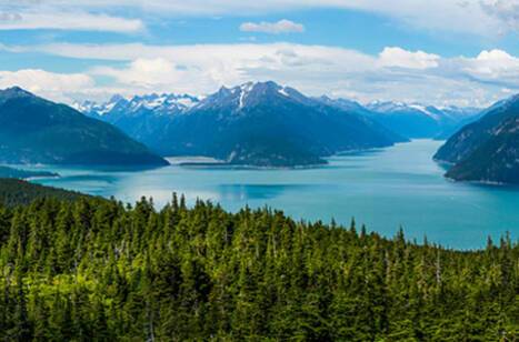 How to survive in the Alaskan wilderness | ROL Cruise Blog