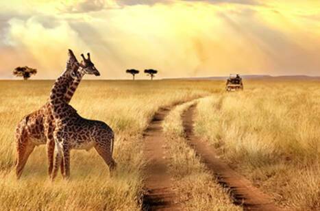 Benefits of a tailormade package | ROL Cruise Blog