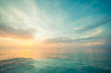 Cruise-related gift ideas | ROL Cruise Blog