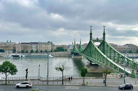 View of the Danube River from Liberty Bridge in Budapest