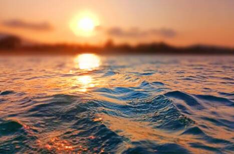 A Q&A with our CEO, Rosie Cairns | ROL Cruise