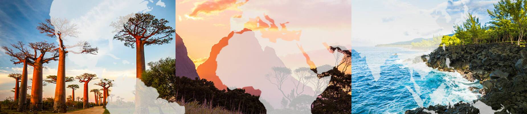 Wildlife on the Indian Ocean Islands