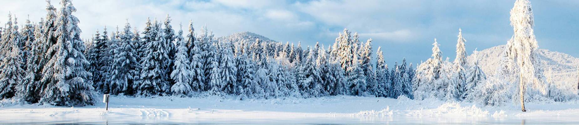 Christmas dinners around the world