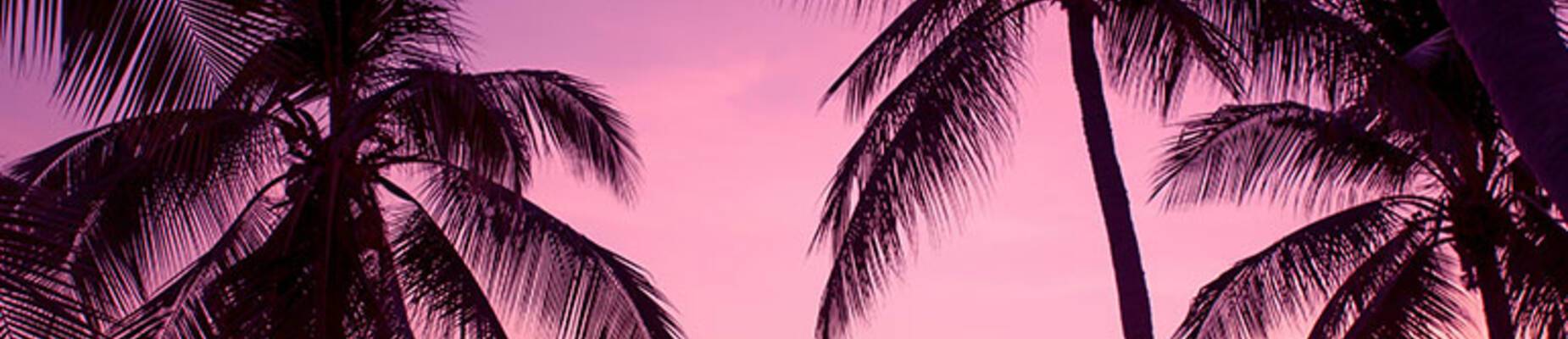 Florida cruises