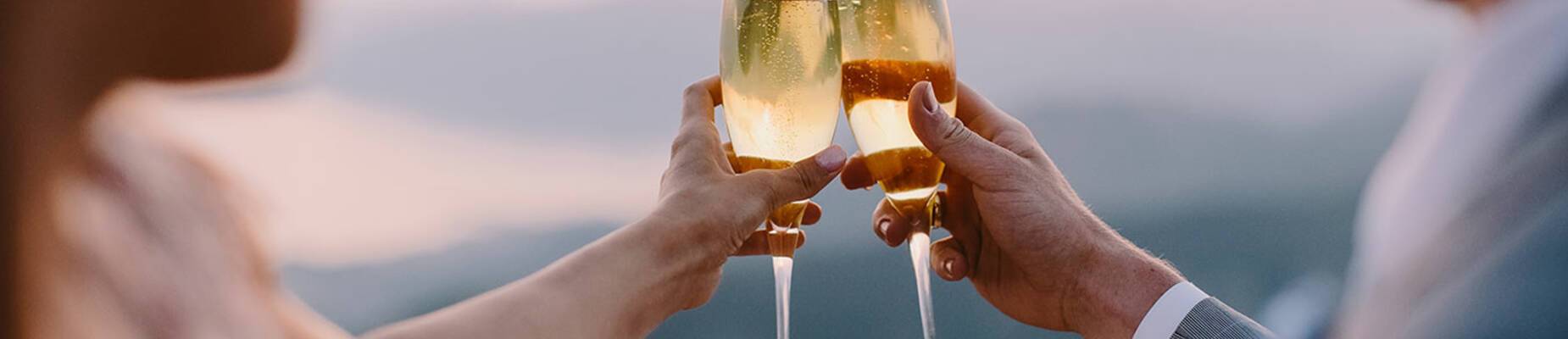 Top Ocean Cruise Agency 2020