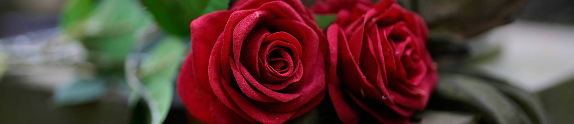 Intriguing cemeteries