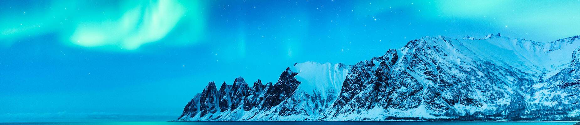 Northern Lights dancing across the night sky