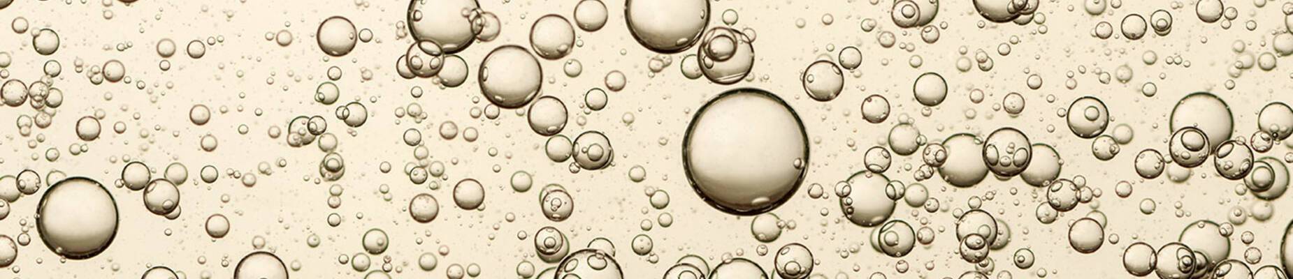 TTG Top 50 Travel Agencies 2020