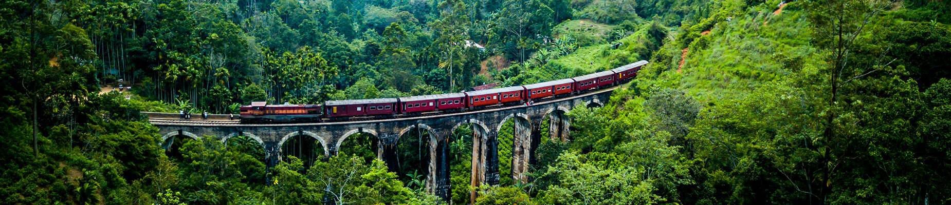 A train running through the Sri Lankan rainforest