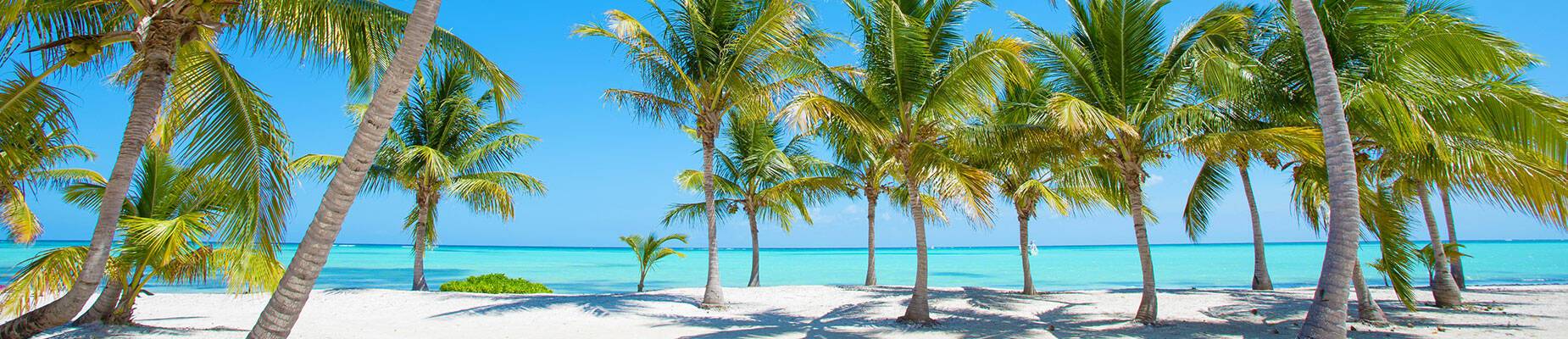 A panoramic view of a picturesque beach in the Caribbean