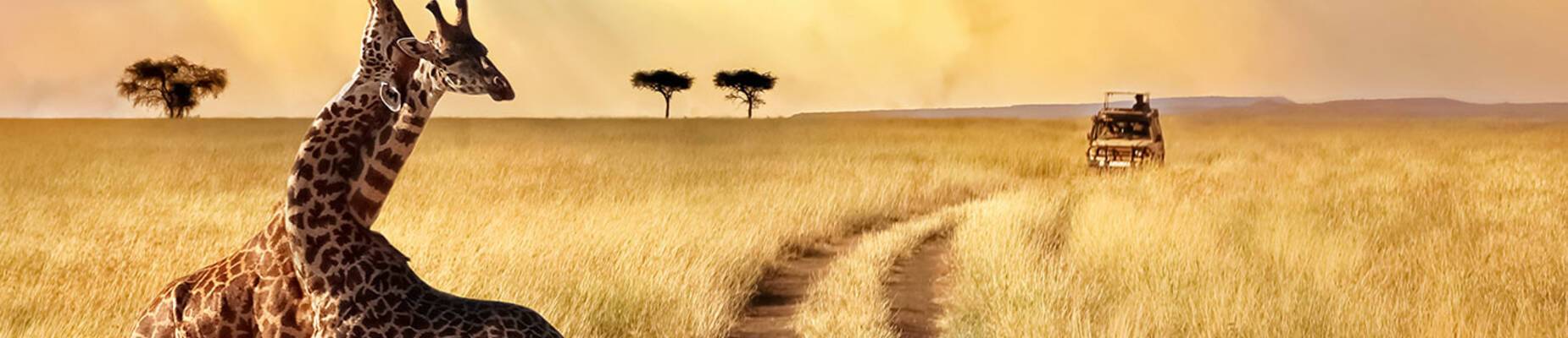 Cruise and stay packages