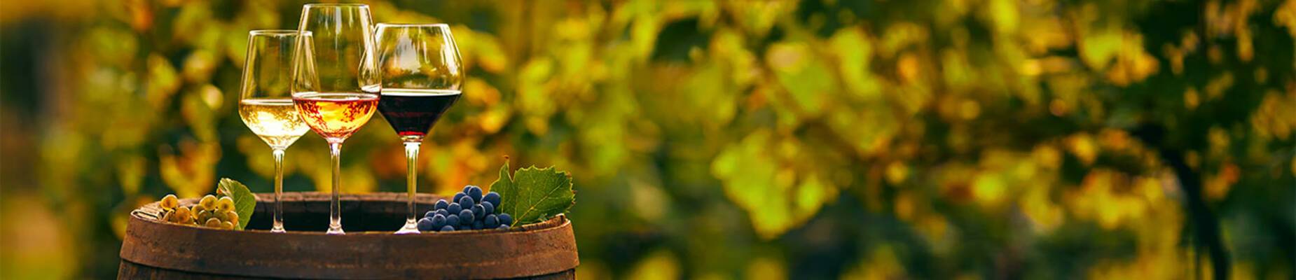 Celebrity Cruises Wine-tasting