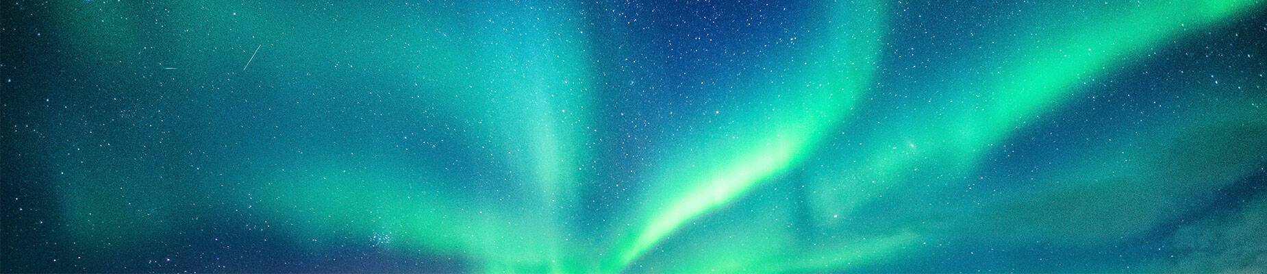 The northern lights dancing across the night sky