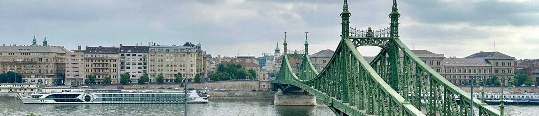 View of the Danube River from Liberty Bridge in Budapest