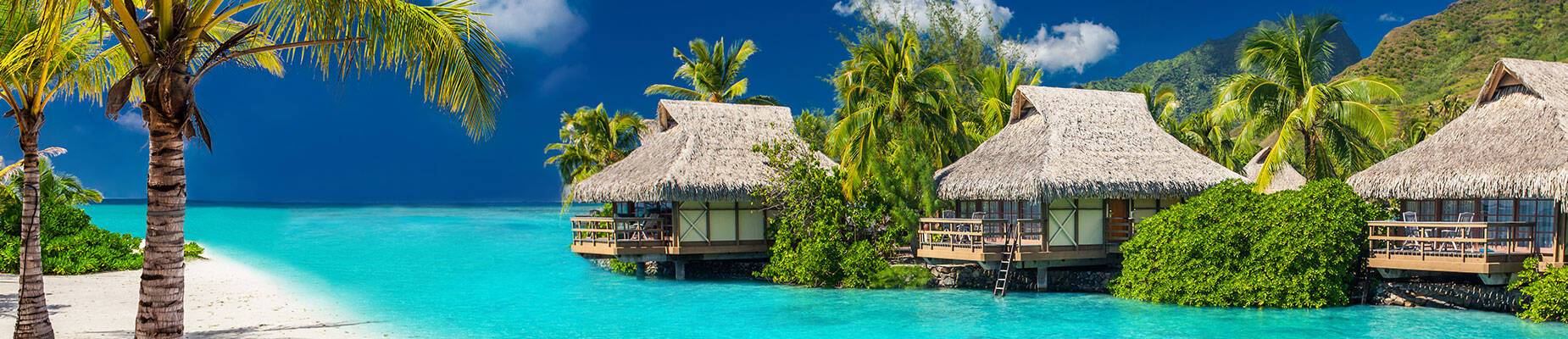 A panoramic view of a tropical island