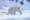 View Cruise2026 All-Inclusive Svalbard Line & Arctic ExpeditionDeal