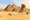 View Cruise2026 Eastern Mediterranean, Ft. Egypt & Nile CruiseDeal