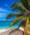 View CruiseWestern Caribbean with Grand CaymanDeal