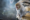 View CruiseThe Exclusive 2024 Japan & Snow Monkeys ExplorationDeal