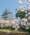 View CruiseHanami Experience - Tokyo to TokyoDeal