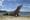 Komodo Dragon, Varanus komodensis, on beach, Komodo Island