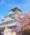 View CruiseAsia: Kochi, Kobe, Jeju & NagoyaDeal