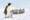 View Cruise2026 All-Inclusive 6★ Antarctica Expedition Festive Flash SaleDeal