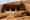 Kanheri Caves, Sanjay Ghandi National Park, India