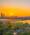 View CruiseTokyo Roundtrip during Cherry BlossomDeal