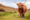 View CruiseNo-Fly 5★ All-Inclusive 2027 British Isles DiscoveryDeal