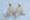 View Cruise2026 All-Inclusive Svalbard Wildlife & Arctic Norway SaleDeal